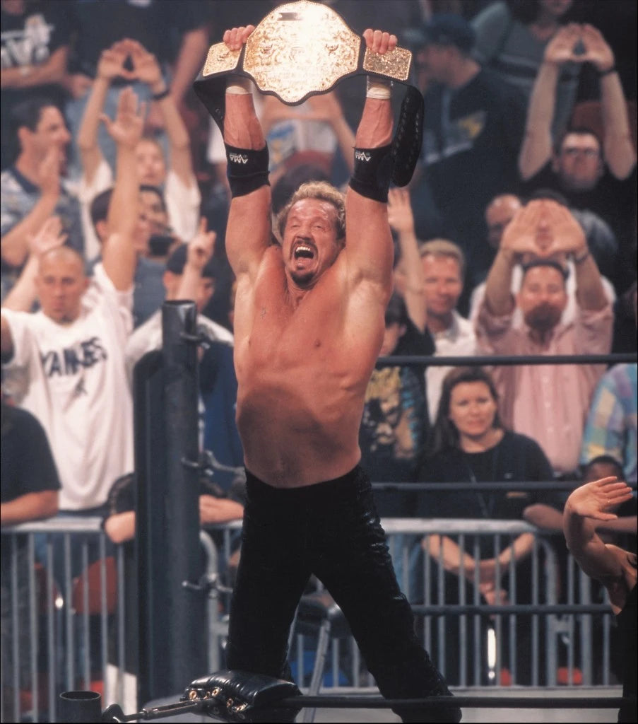 Diamond Dallas Page