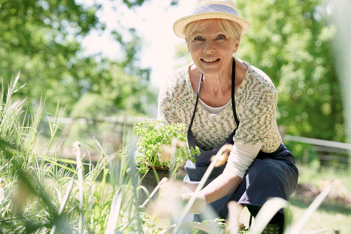 Senior woman gardening on beautiful spring | Plants And Alkaline Water | why do plants need water