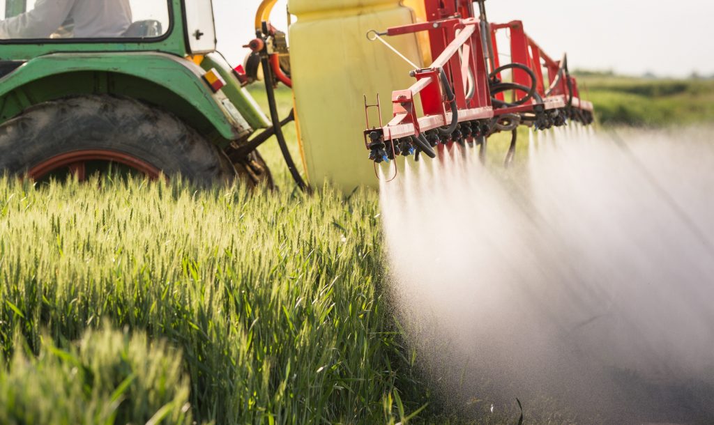 Tractor spraying wheat field