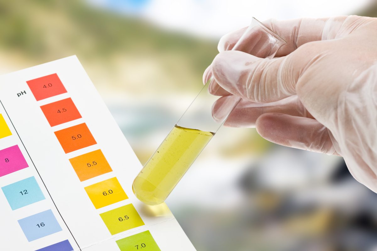 man looking closely at a pH testing strip | Alkaline Water And Urine