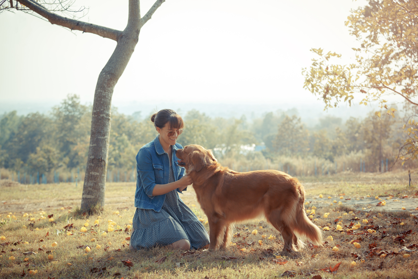 Beautiful woman with a cute golden retriever dog