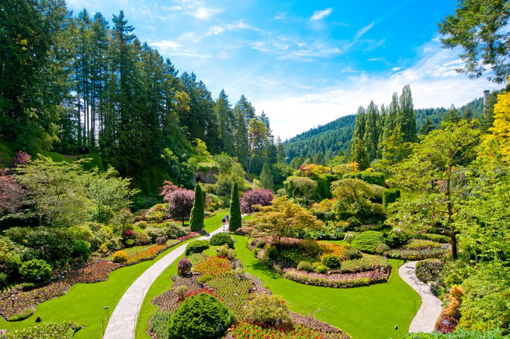 Lawn and Flower beds in the Spring with Lush colors, Victoria, Canada