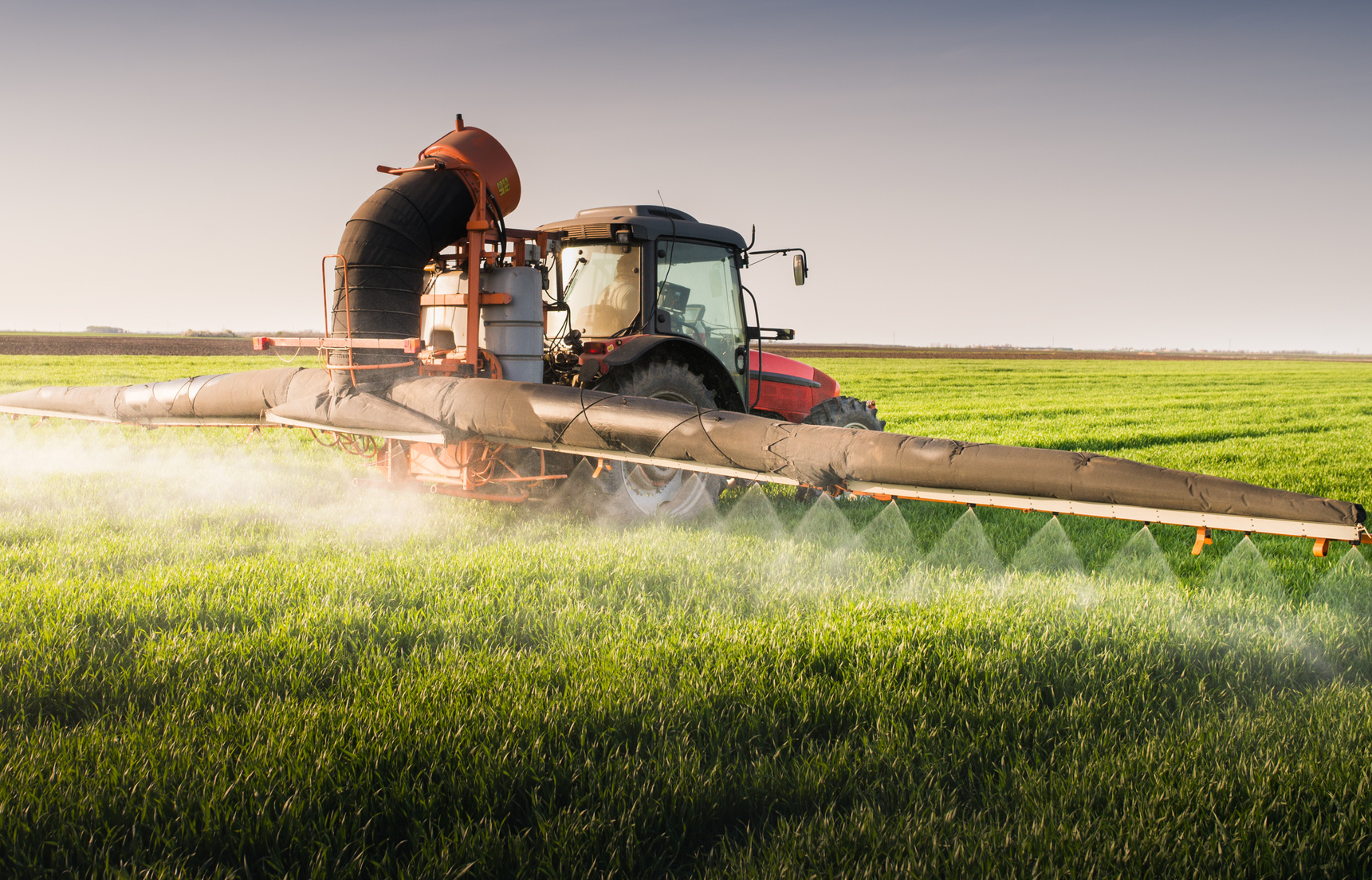 Tractor spraying wheat field