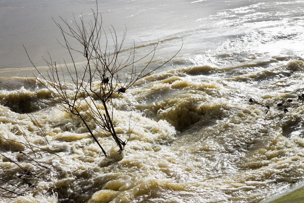 Flint Charges: Who Will be Next?