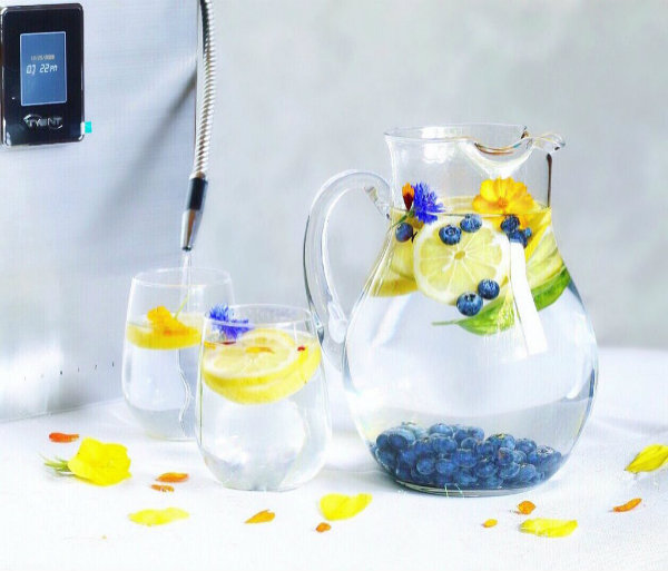 water ionizers