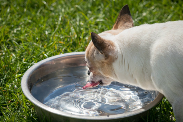 alkaline water