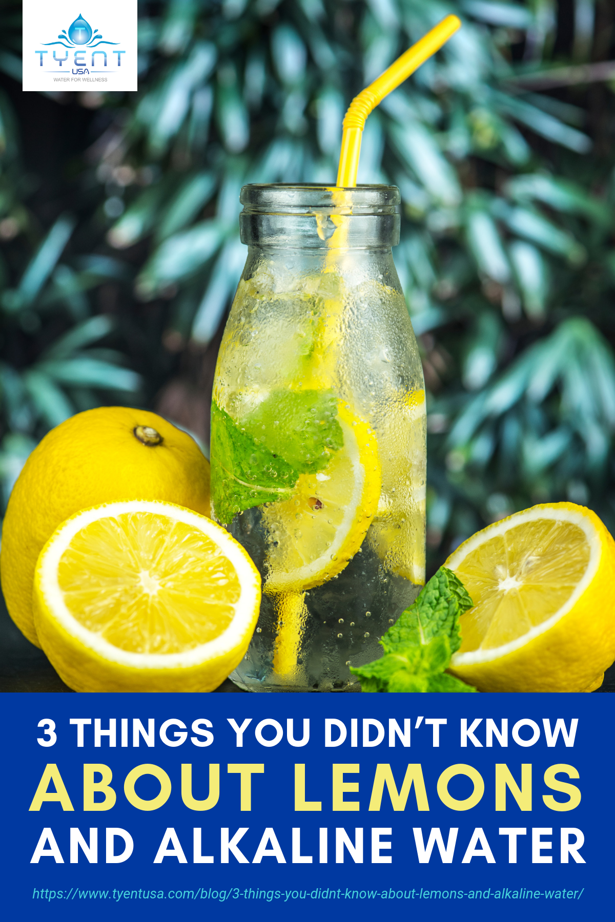 3 Things You Didn’t Know About Lemons and Alkaline Water https://www.tyentusa.com/blog/3-things-you-didnt-know-about-lemons-and-alkaline-water/