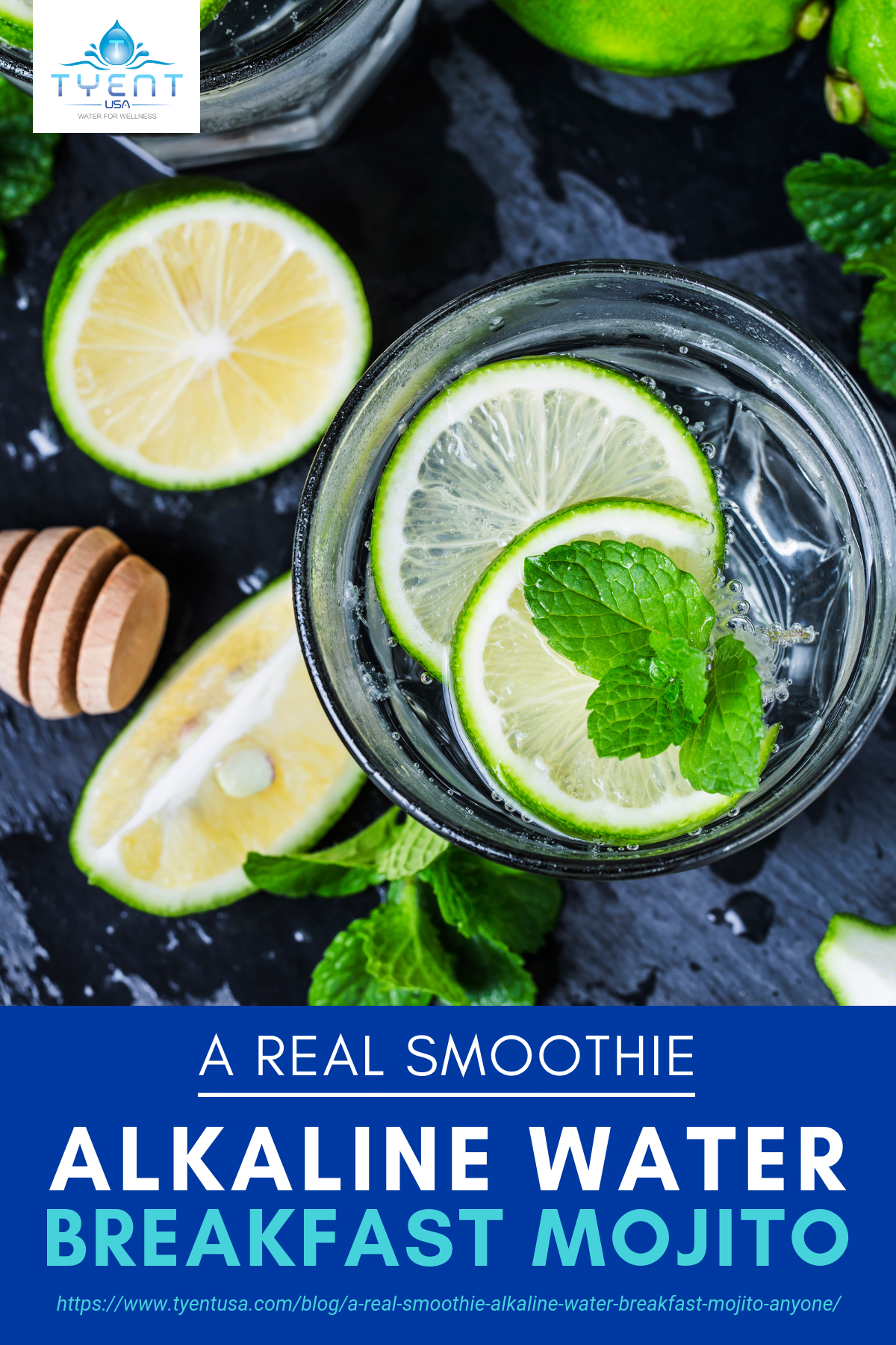 A Real Smoothie | Alkaline Water Breakfast Mojito, Anyone? https://www.tyentusa.com/blog/a-real-smoothie-alkaline-water-breakfast-mojito-anyone/