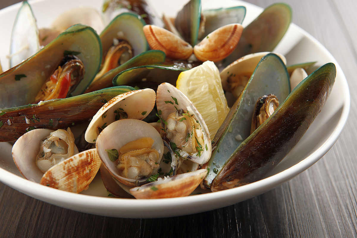 Assorted Shellfish on bowl | Most Nutritious Foods to Add to Your Diet