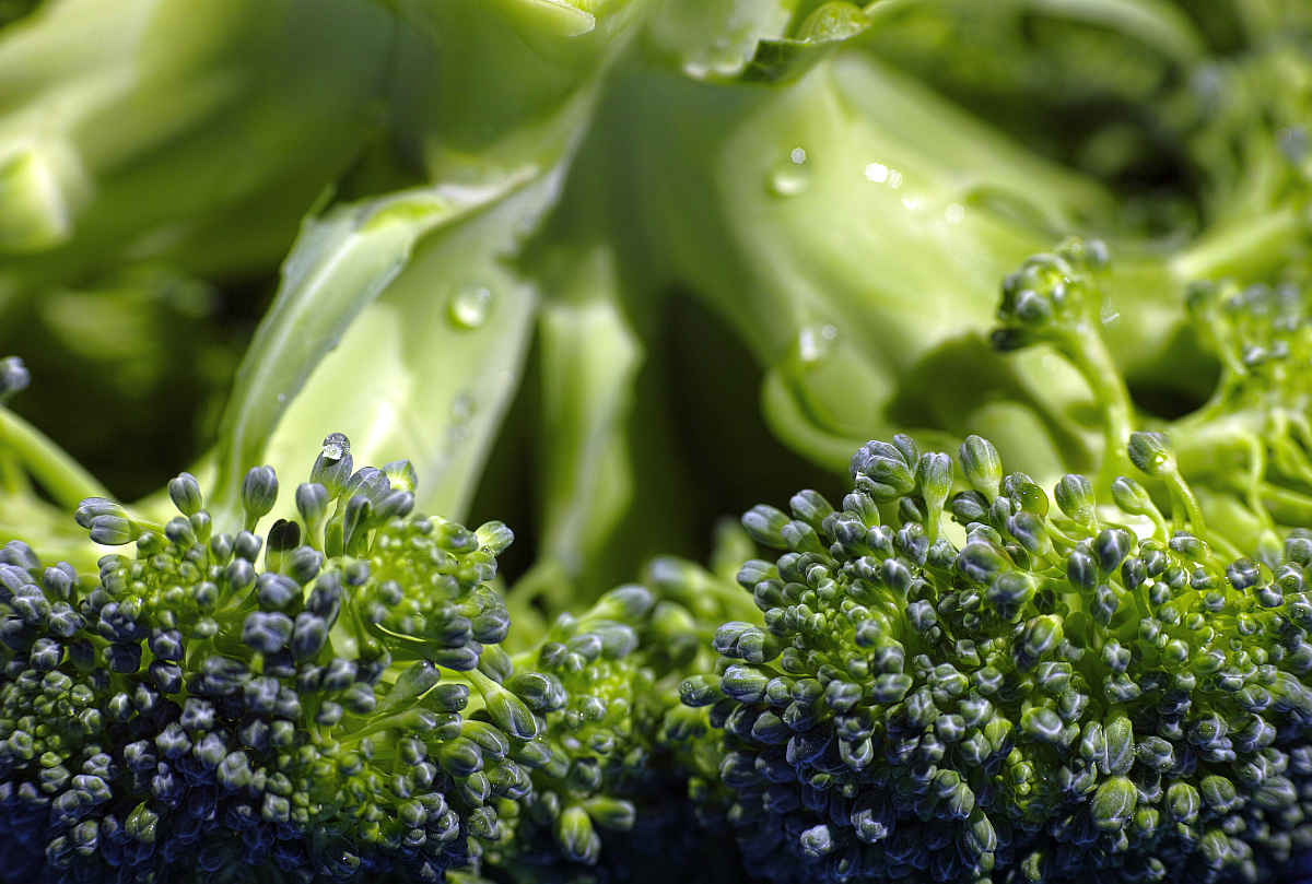 Broccoli organic food vegetable | Fruits and Veggies That Can Keep You Hydrated