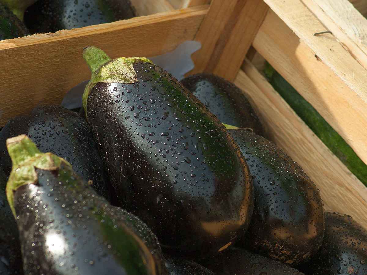 Eggplant market vegetables food | Fruits and Veggies That Can Keep You Hydrated