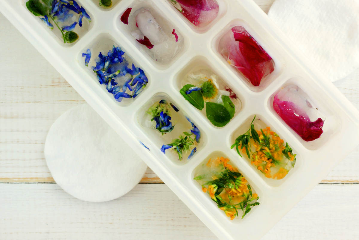 Herbal ice cubes summer refreshing | Brilliant Ice Cube Tray Hacks You Can Do At Home