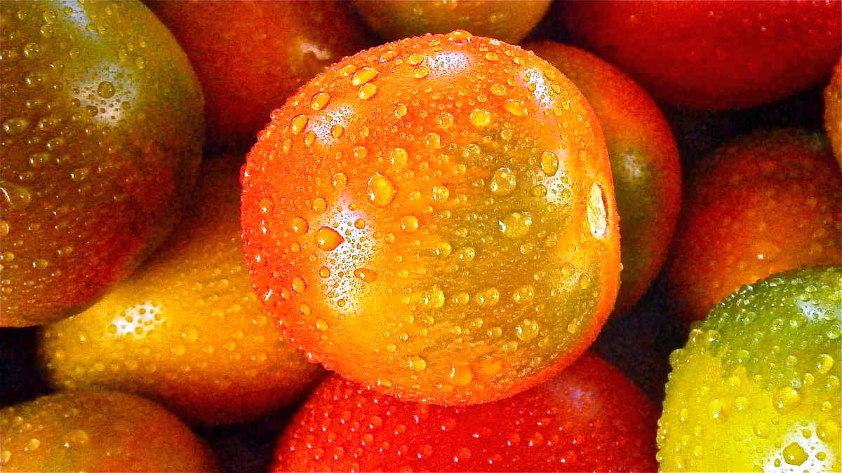 Orange round fruit | Fruits and Veggies That Can Keep You Hydrated