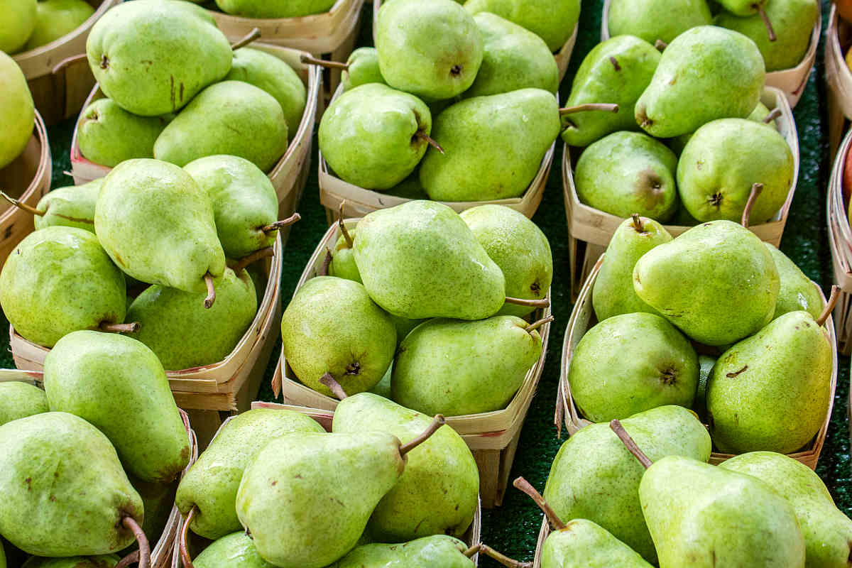 Green Pear fruits | Fruits and Veggies That Can Keep You Hydrated