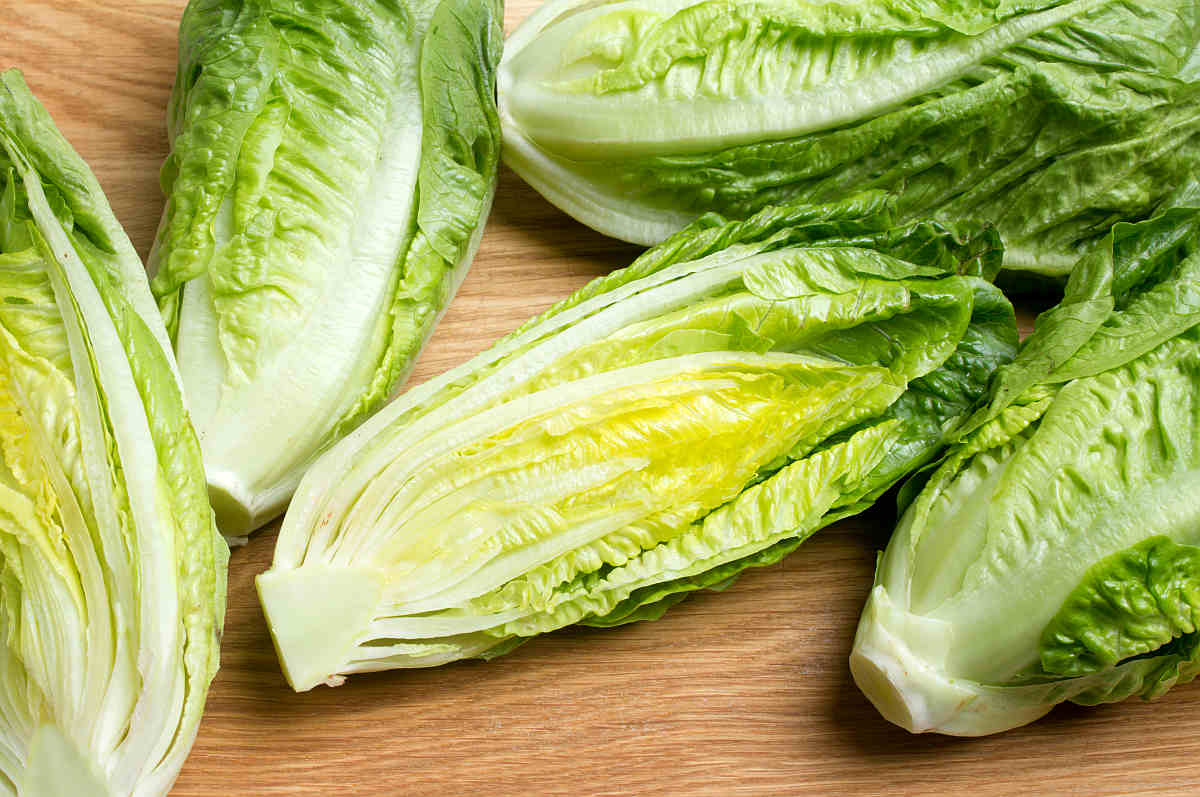 Romaine Lettuce on kitchen board | Fruits and Veggies That Can Keep You Hydrated