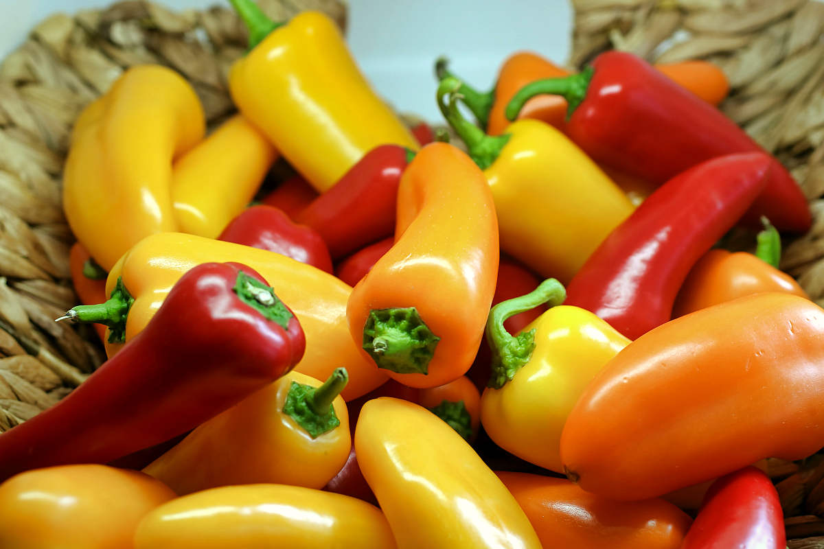 Shallow focus photography of yellow and red bell peppers | Fruits and Veggies That Can Keep You Hydrated