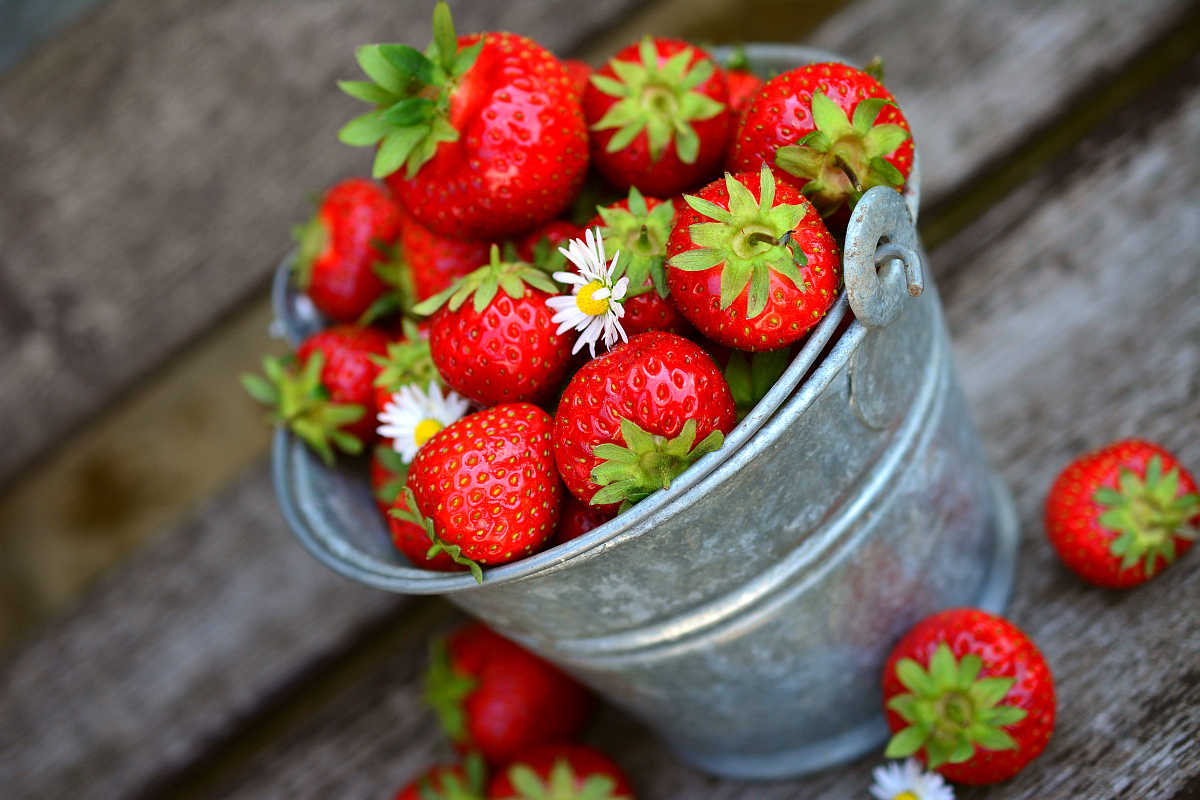 Strawberries fruit delicious food | Most Nutritious Foods to Add to Your Diet