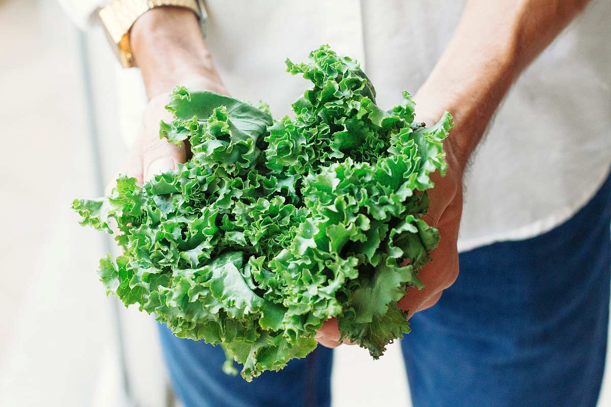 Holding kale | High Alkaline Foods To Add To Your Diet
