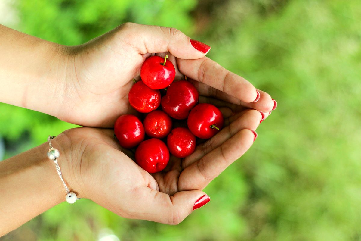 Holding red cherries | High Alkaline Foods To Add To Your Diet