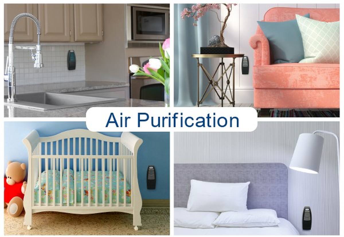 Air Filter Zone | Air Purifier | Ways To Purify Indoor Air Naturally