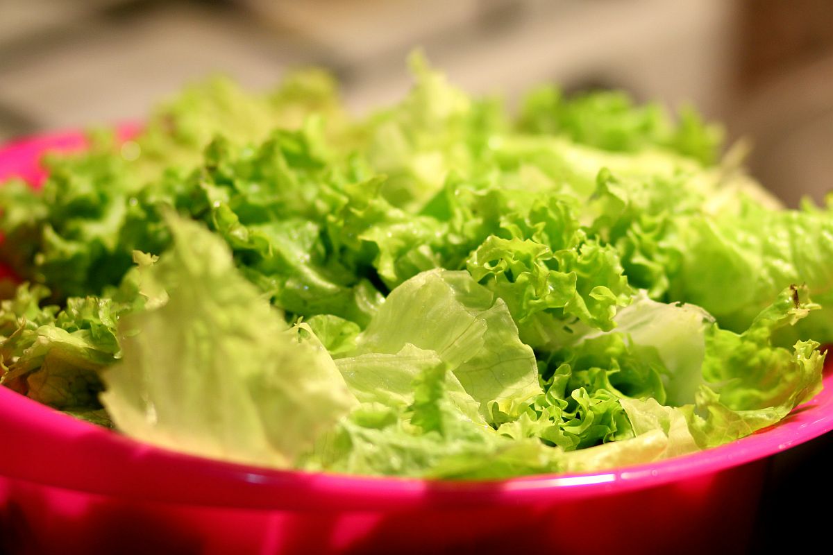 Lettuce in a bowl | Healthiest Foods To Eat