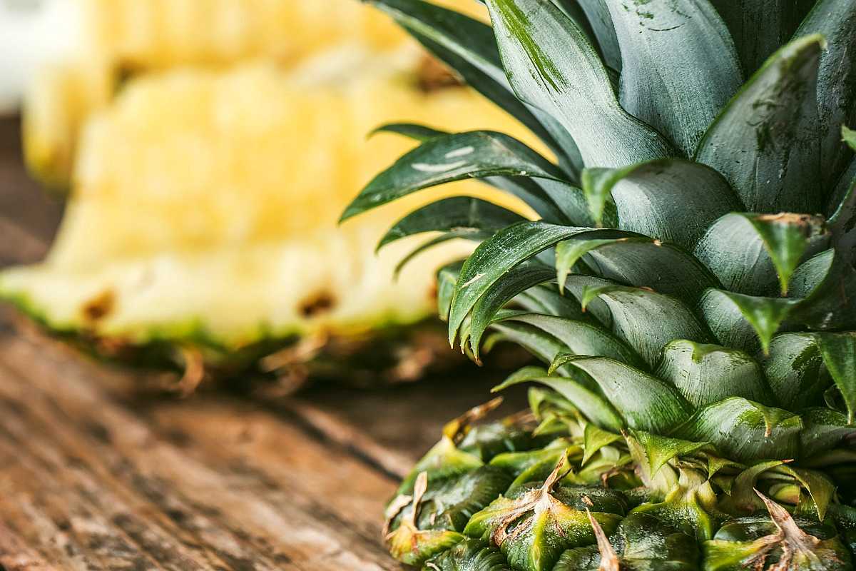 sliced pineapple | High Alkaline Foods To Add To Your Diet