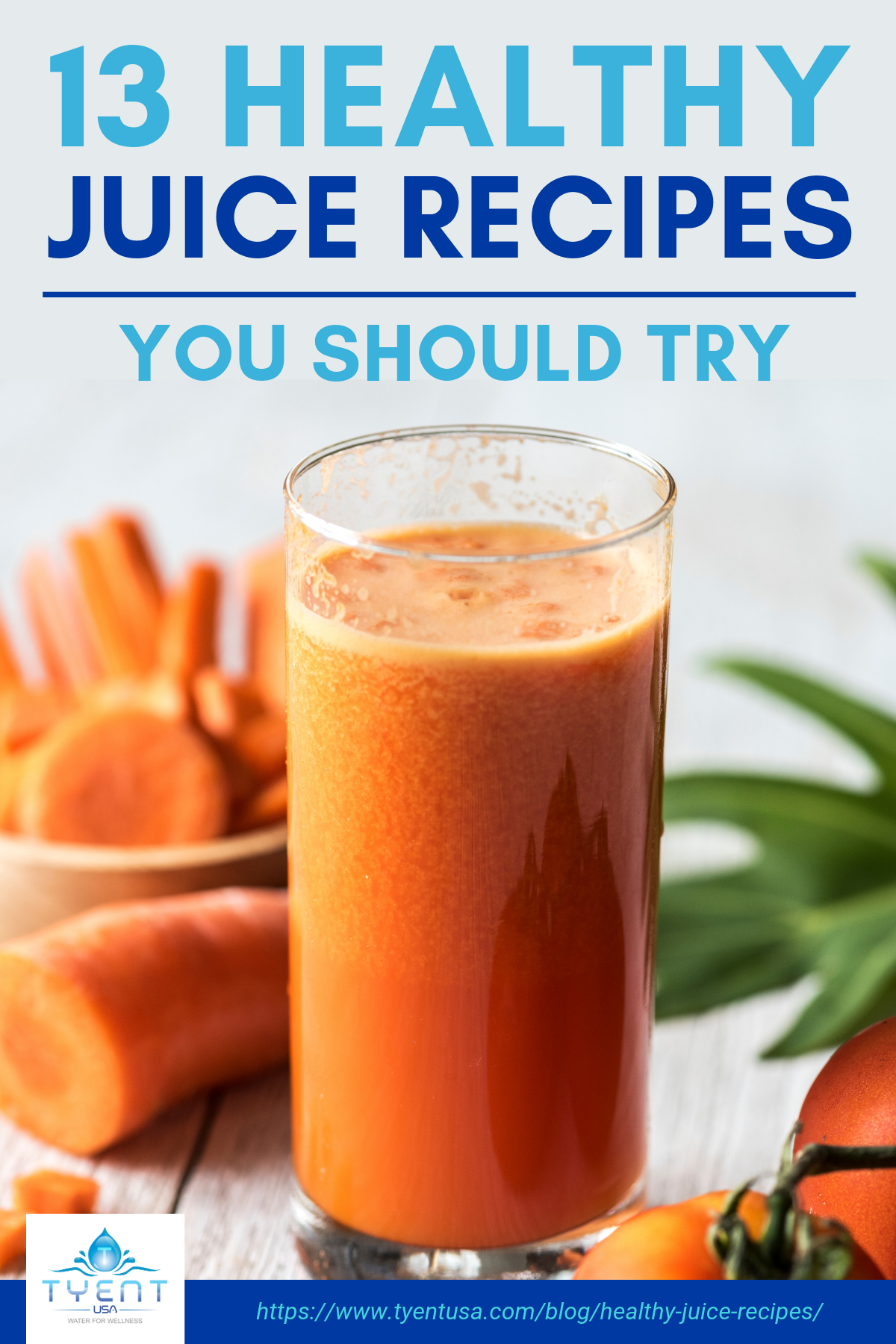 13 Healthy Juice Recipes You Should Try https://www.tyentusa.com/blog/healthy-juice-recipes/