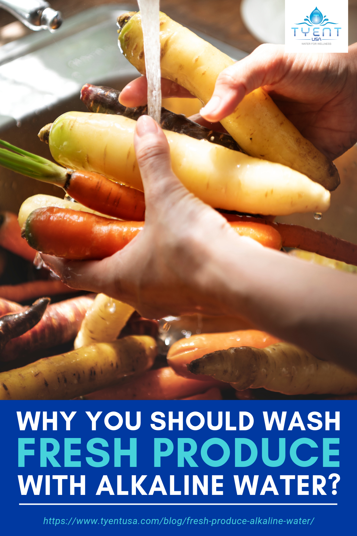 Why Should You Wash Fresh Produce With Alkaline Water? https://www.tyentusa.com/blog/fresh-produce-alkaline-water/