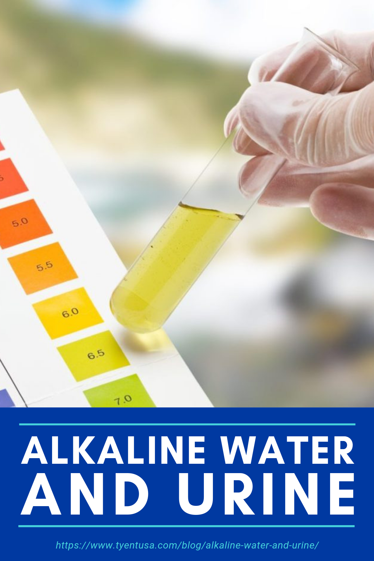 Alkaline Water And Urine https://www.tyentusa.com/blog/alkaline-water-and-urine/