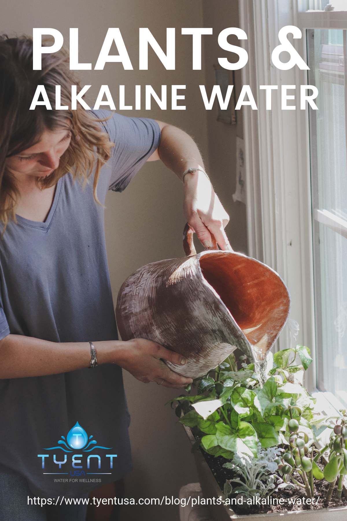 Plants And Alkaline Water https://www.tyentusa.com/blog/plants-and-alkaline-water/