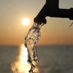 National Water Quality Month Tips to Help You Protect Your Water