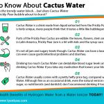 5 Things to Know About Cactus Water