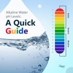 Alkaline Water pH Levels: A Quick Guide