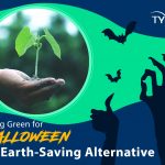 Going Green For Halloween – An Earth-Saving Alternative