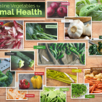 TOP ALKALINE VEGETABLES FOR OPTIMAL HEALTH 1