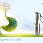 Hydrogen Water and Gut Health