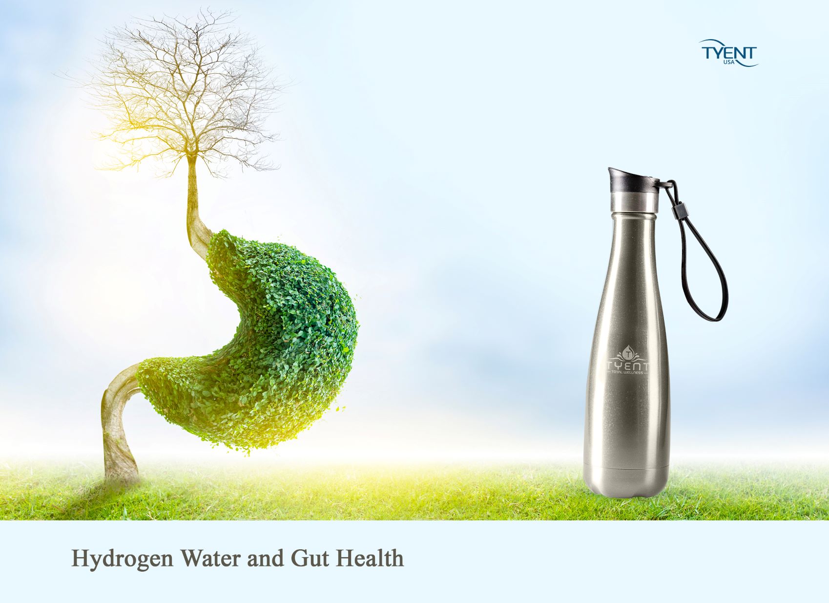 Hydrogen Water and Gut Health