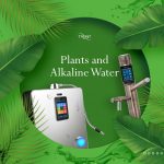 Plants and Alkaline Water