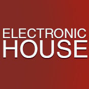 Electronic House