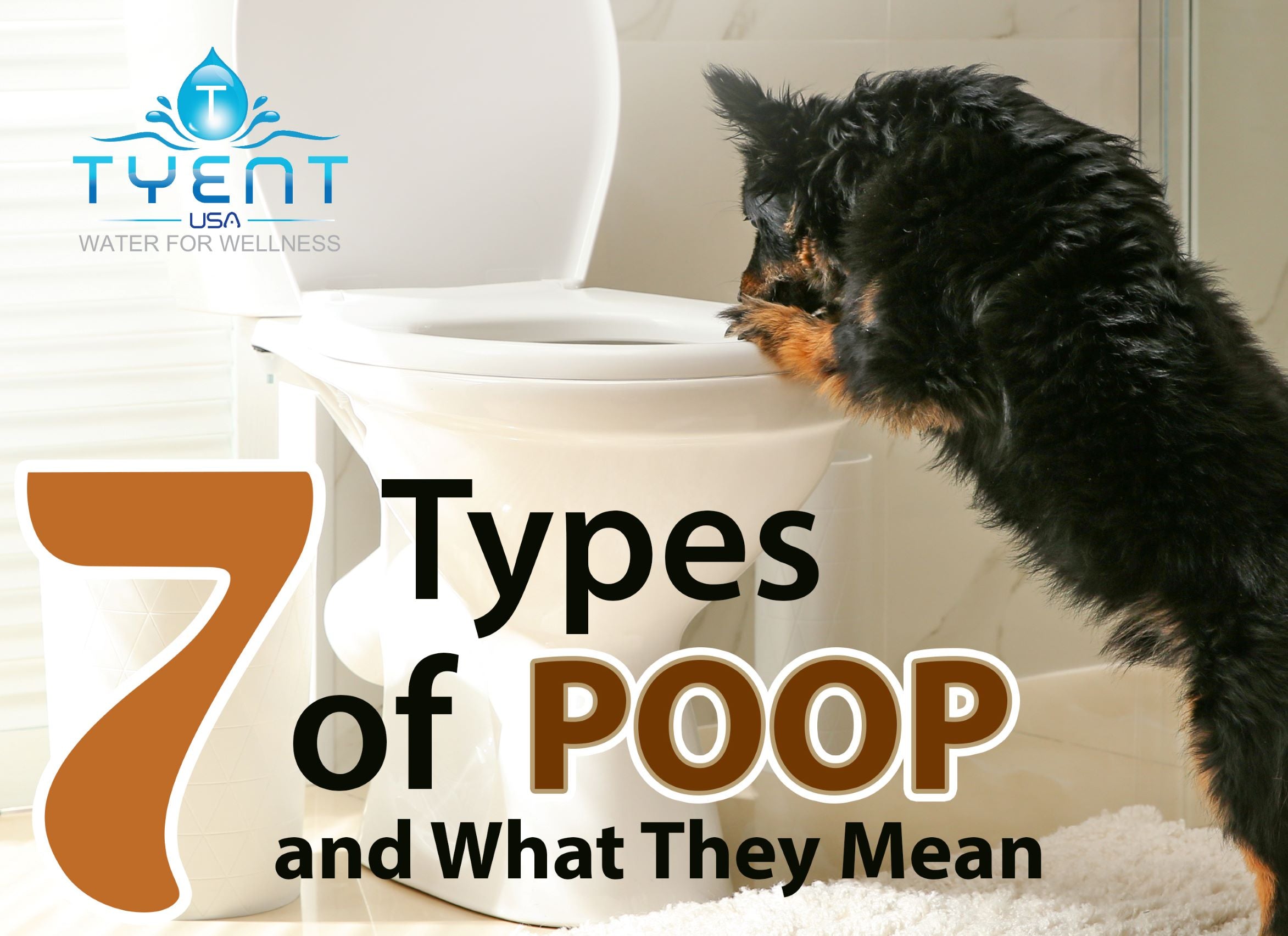 What Are the 7 Types of Poop? – Tyent
