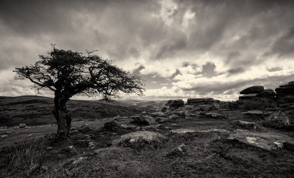 Half of All Americans Have Radiation in Their Water