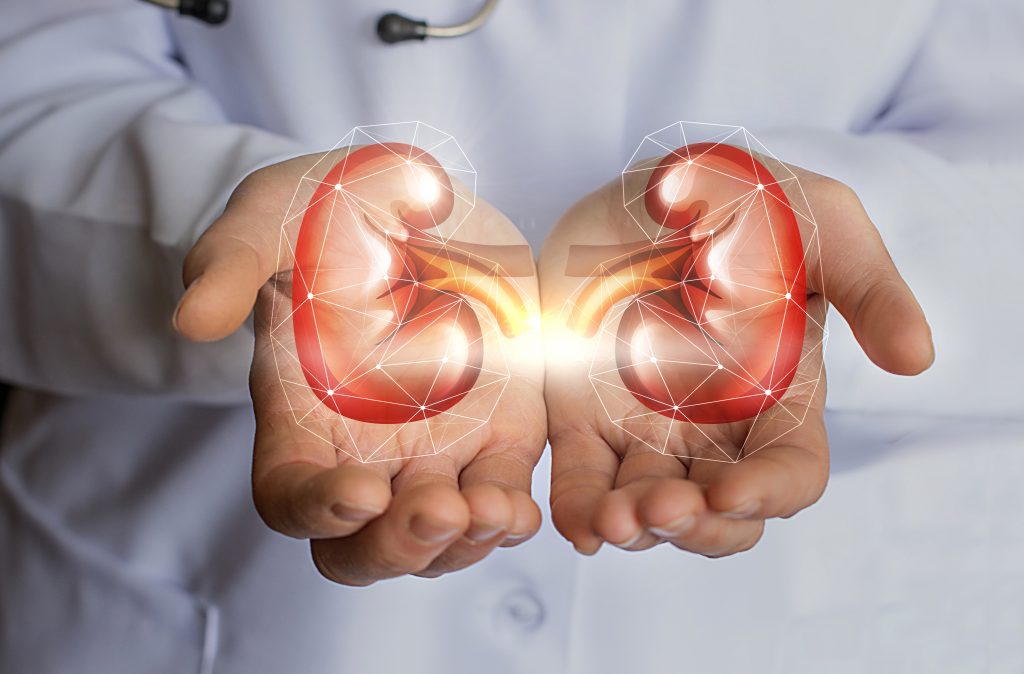 No Kidding – Healthy Kidneys, Healthy You