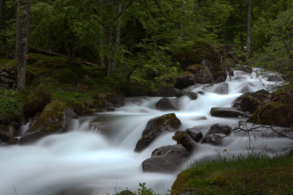 Water Ionizers and the Magic of Hydrogen