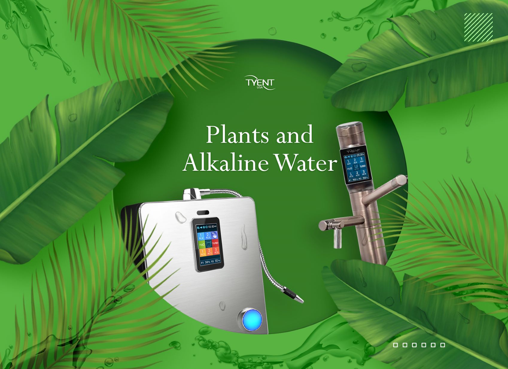 Plants and Alkaline Water – Tyent