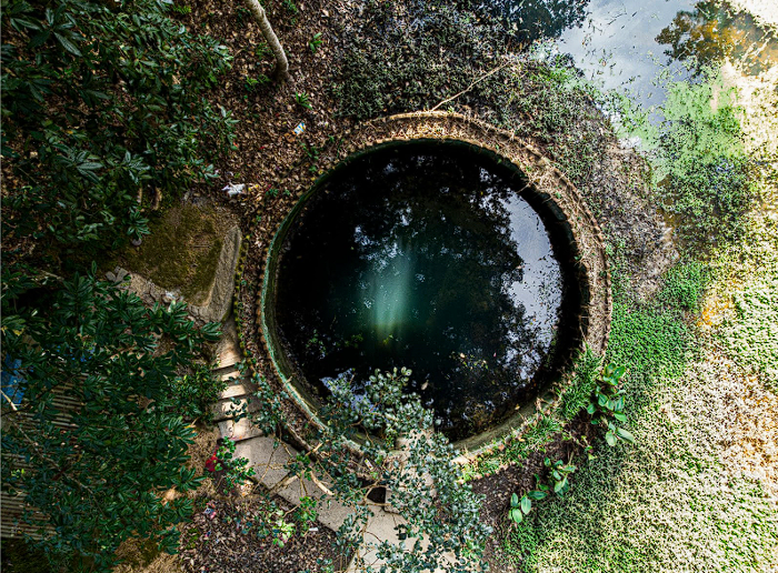 7+ Best Well Water Softener Systems [2025]