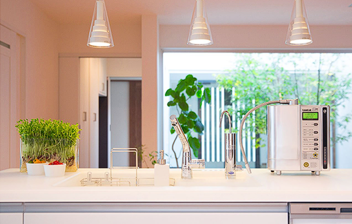 Kangen Water Filter Review & Alternatives [2025]