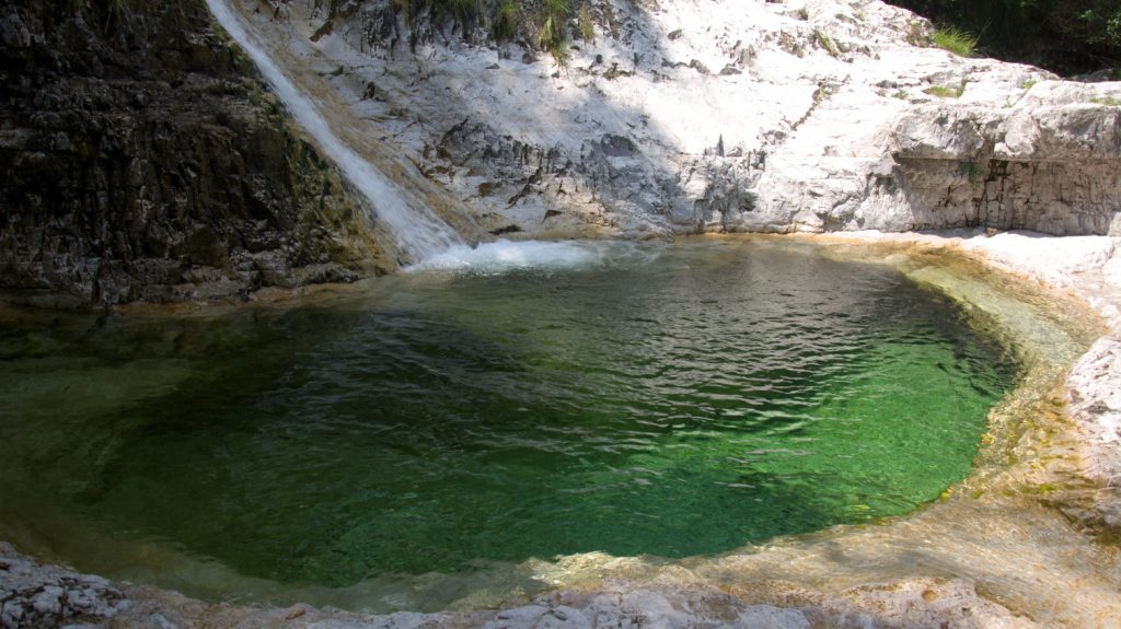 Water Ionizer Truth Exposed!