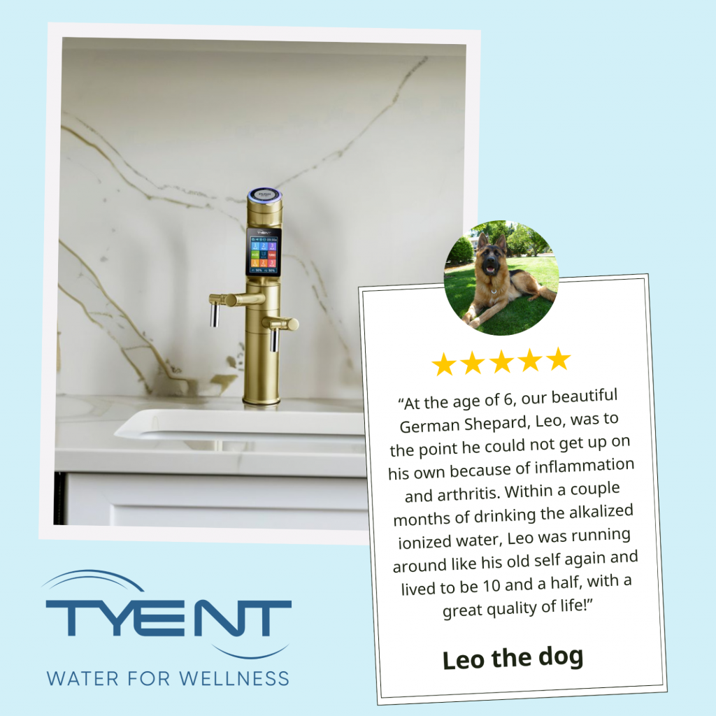 Alkaline Water for Dogs | Tyent USA