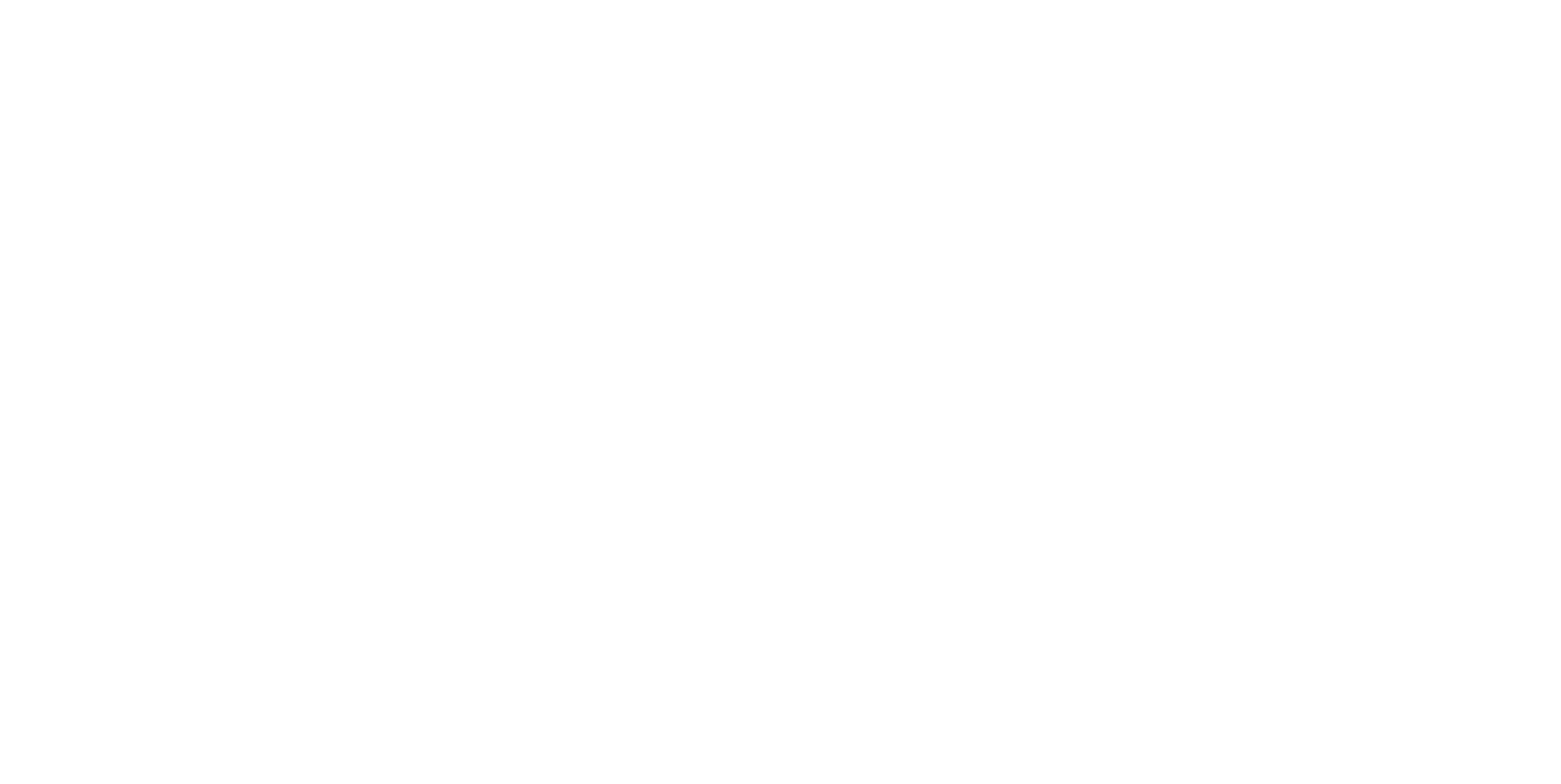 TyentUSA Logo White