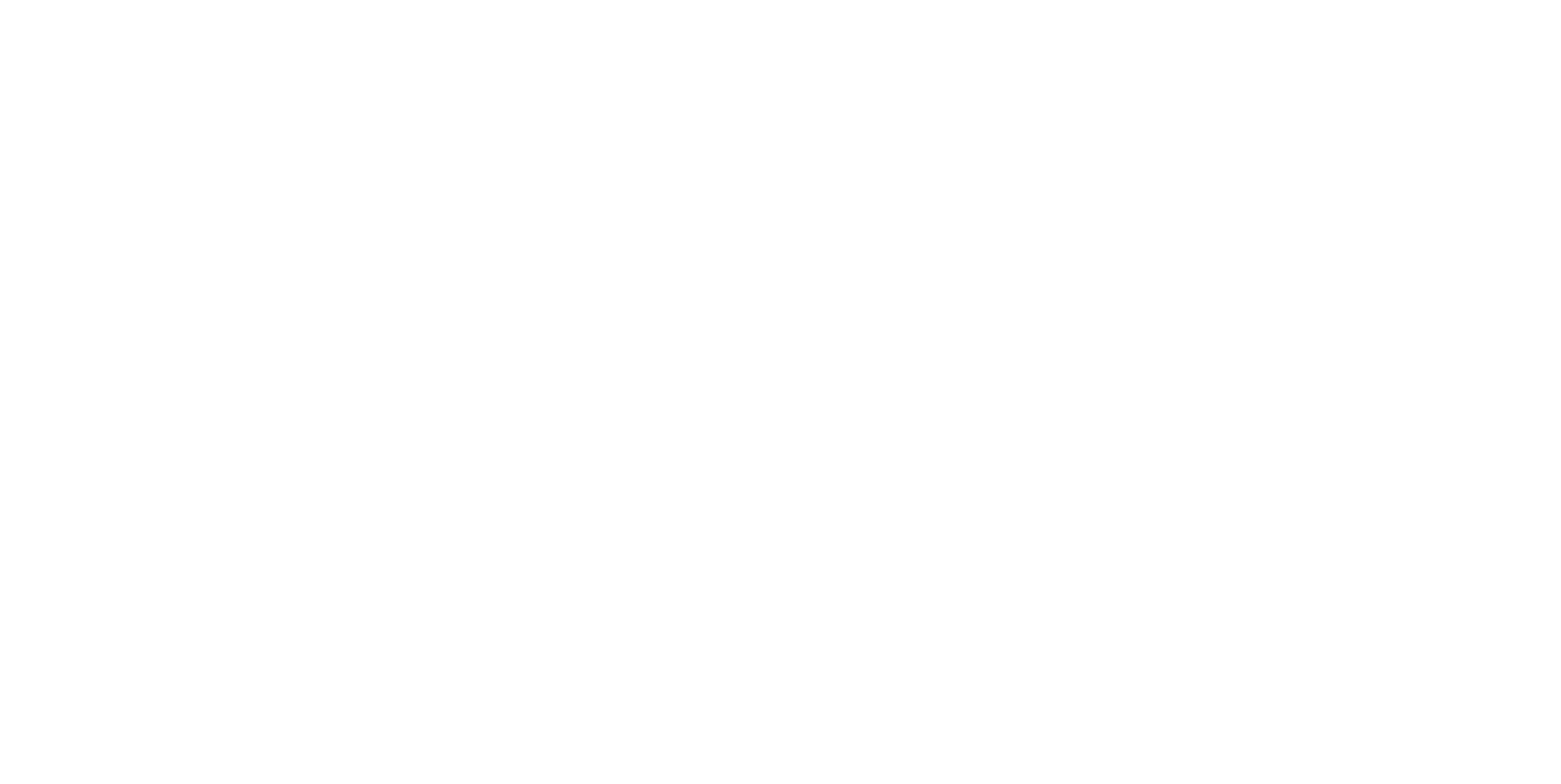 TyentUSA Logo White